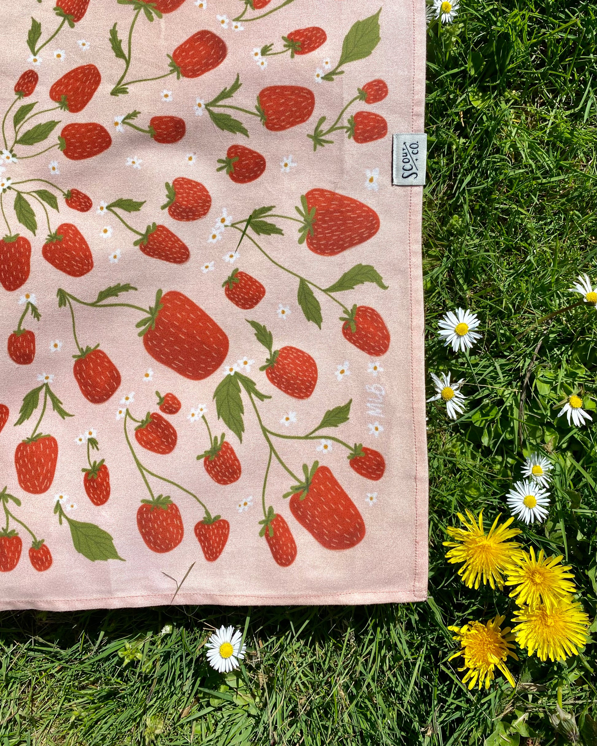 STRAWBERRY FIELDS – SCOUT + CO.